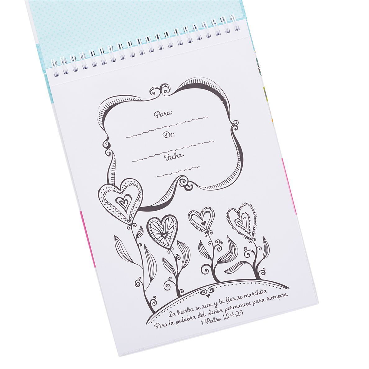 180-1097 Product Image 3