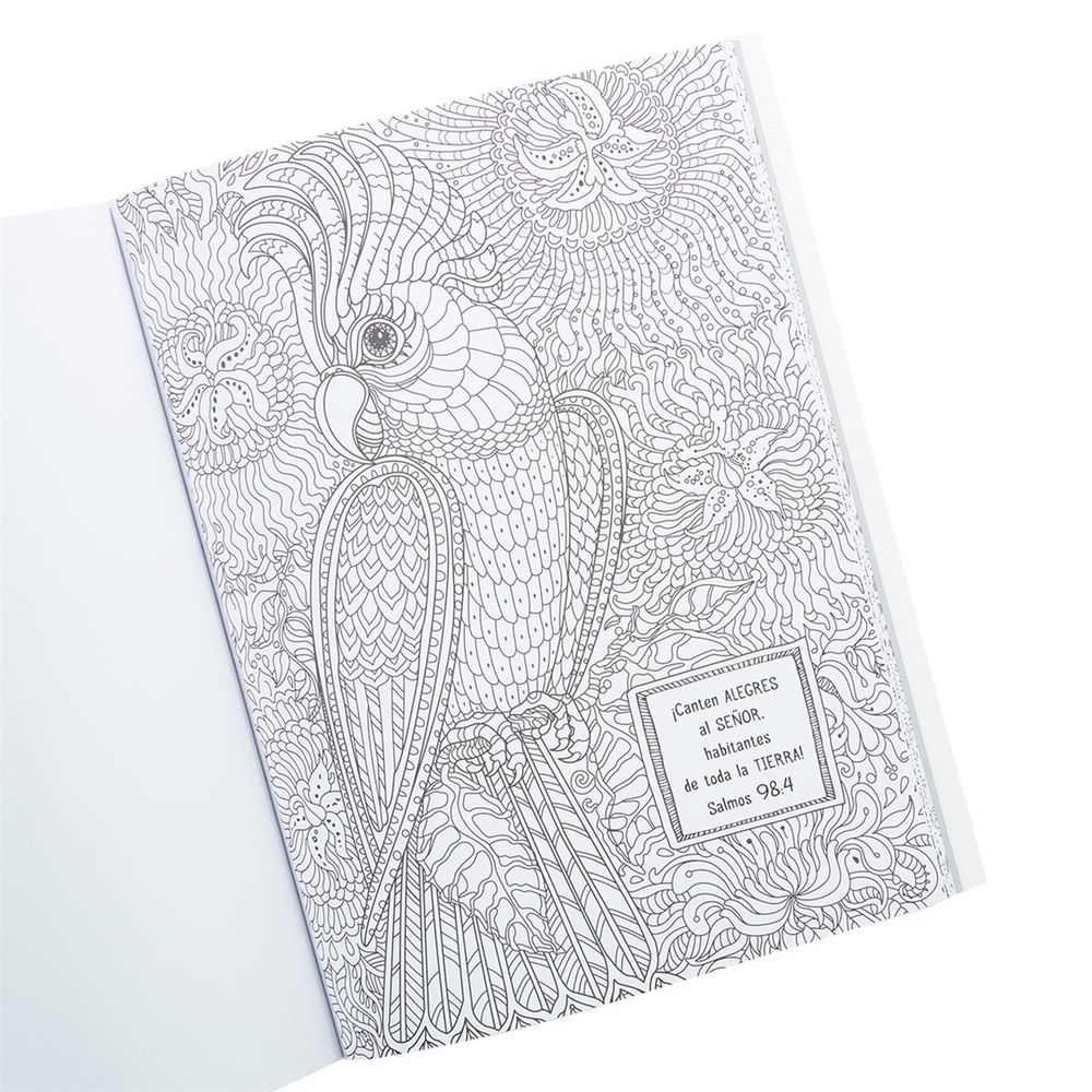 180-1098 Product Image 5