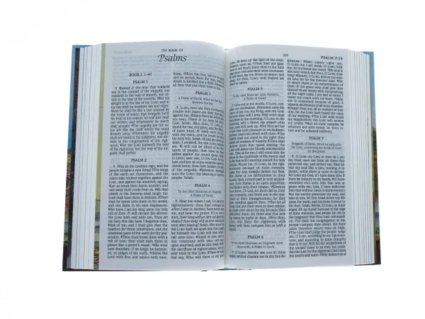 200-0012 Product Image 3