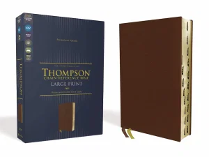 NIV, Thompson Chain-Reference Bible, Large Print, Genuine Leather