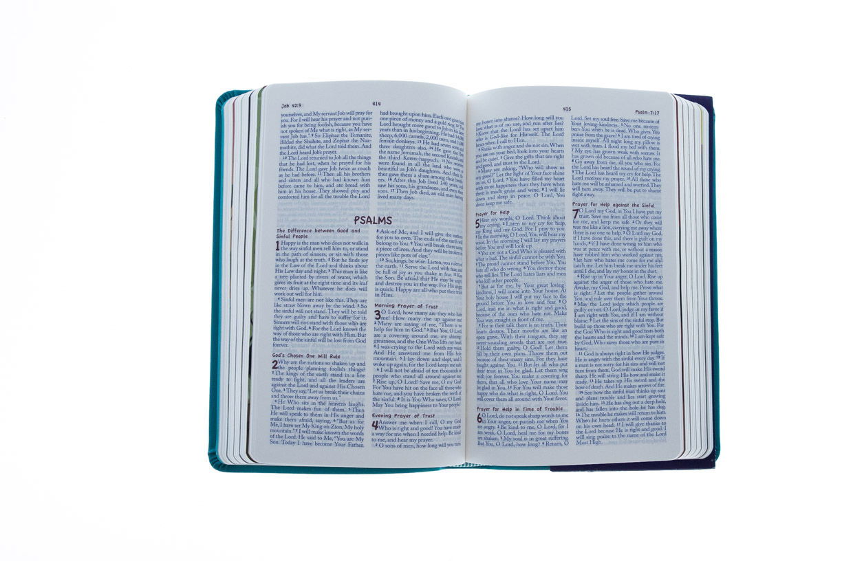 Product 200-0197 - View 2 200-0197 Product Image 2