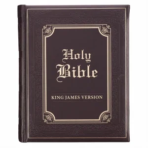 KJV Illustrated Edition Family Bible: Faux Leather Bound