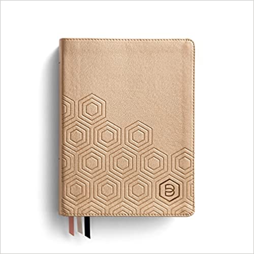 Image of NLT One Step Closer Bible