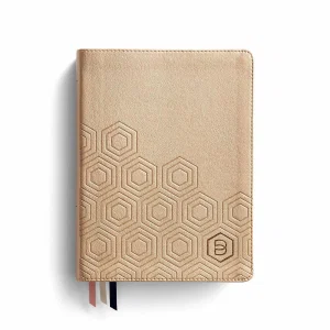 NLT One Step Closer Bible