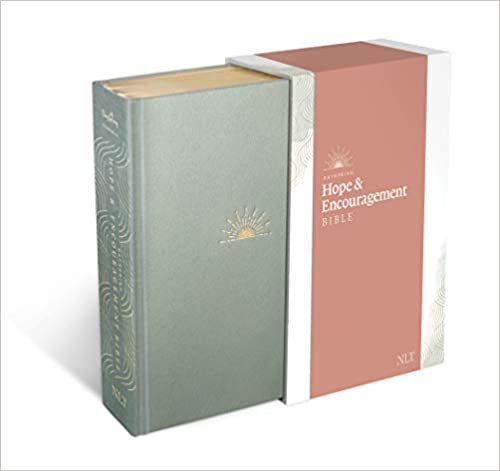 Image of NLT Dayspring Hope & Encouragement Bible
