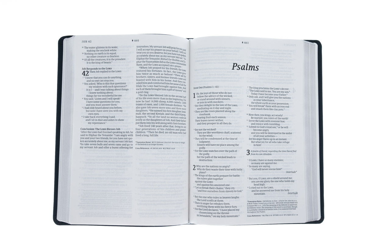 200-0401 Product Image 4