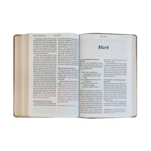 NLT Super Giant Print Bible, Dayspring Signature Collection