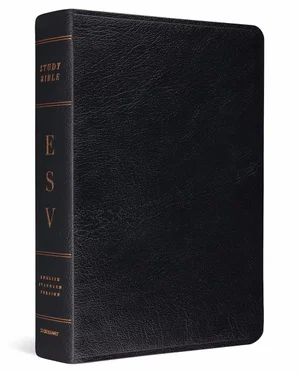 ESV Study Bible-Black Genuine Leather