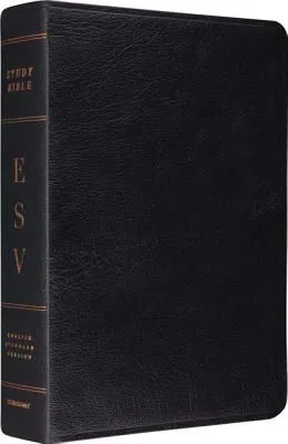 200-0442 Product Image 1