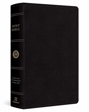 ESV Large Print Personal Size Bible -Black