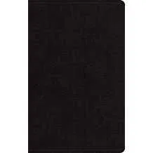 200-0451 Product Image 1
