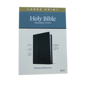 KJV Large Print Thinline Reference Bible, Filament Enabled Edition-Red