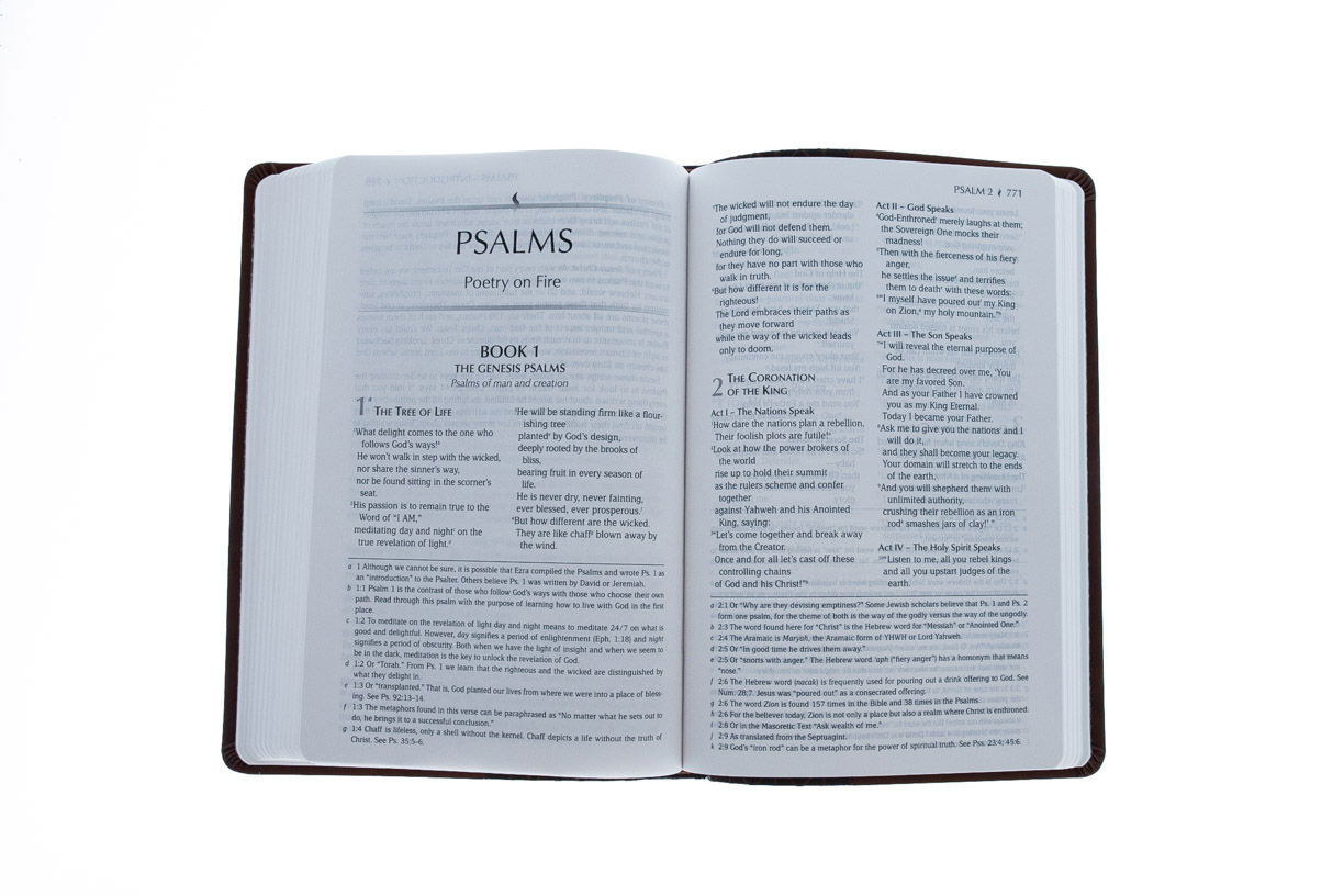 Product 200-1010 - View 7 200-1010 Product Image 7