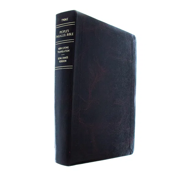 202-0031 Product Image 3