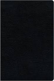 KJV, Amplified, Parallel Bible, Large Print, Bonded Leather, Black