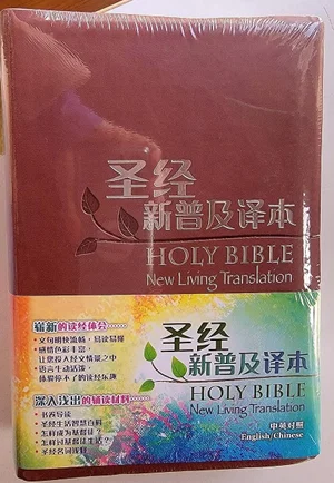 NLT / CNLT English / Chinese Simplified Chinese