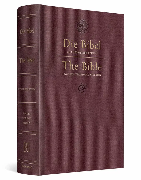 202-0050 Product Image 1