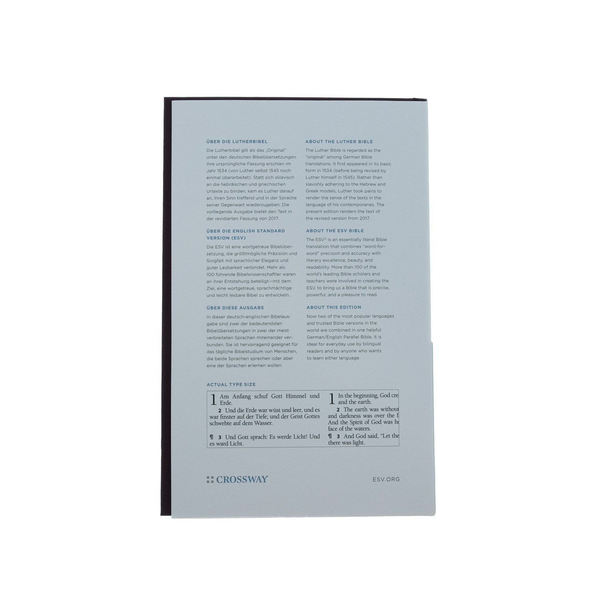 202-0050 Product Image 6