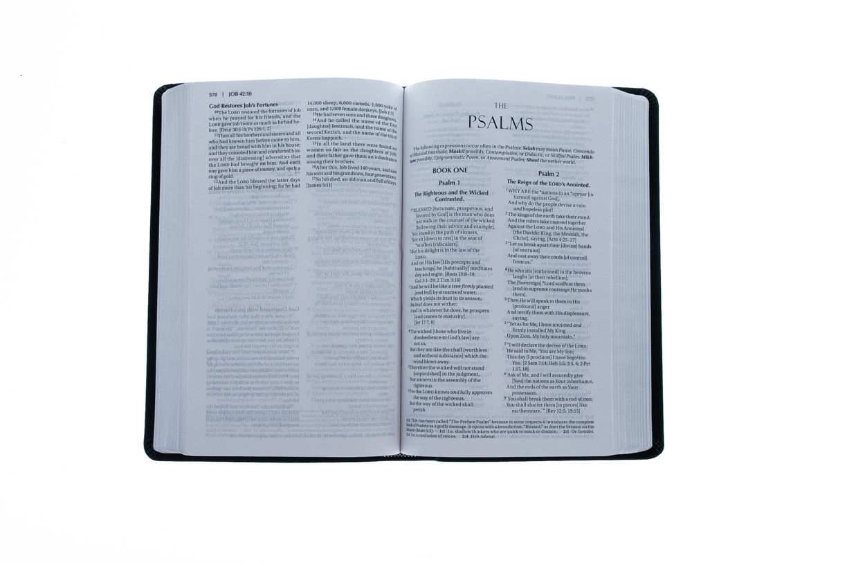 203-0007 Product Image 3