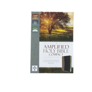 Amplified Holy Bible, Compact, Imitation Leather, Tan/Burgundy