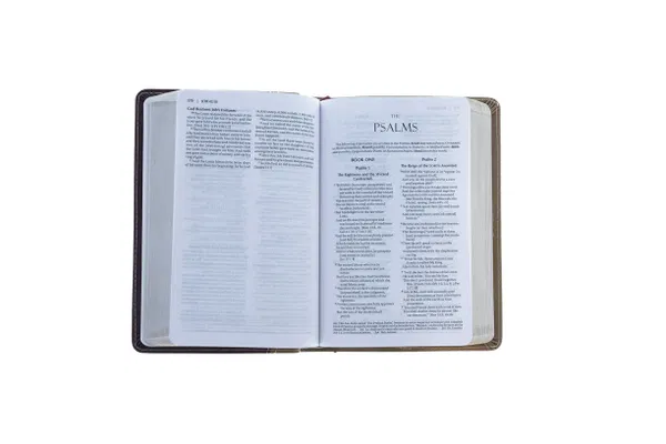 203-0010 Product Image 3