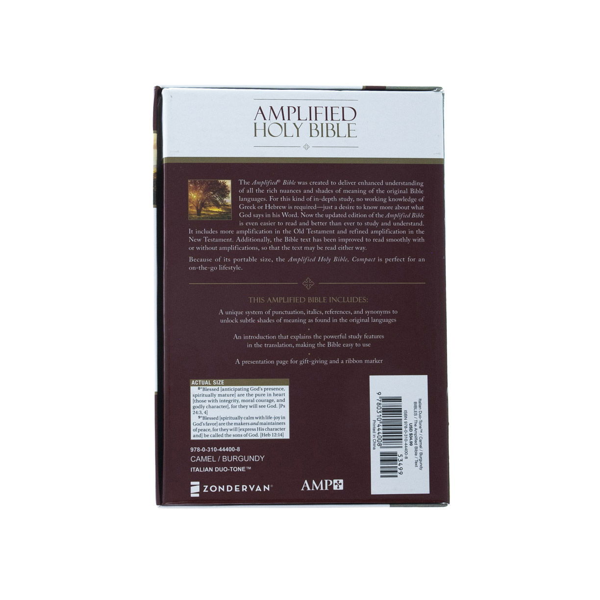 Product 203-0010 - View 5 203-0010 Product Image 5