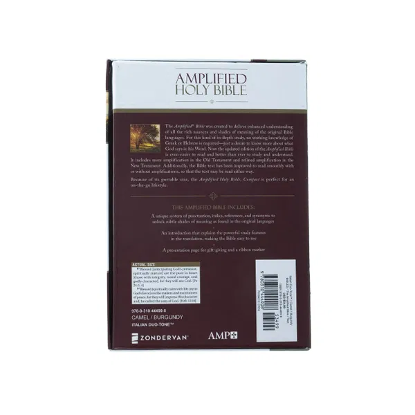 203-0010 Product Image 5