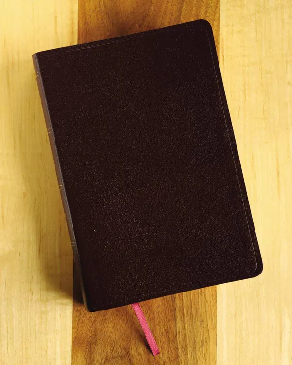 203-0013 Product Image 5
