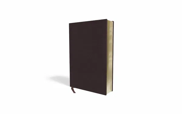 203-0013 Product Image 7