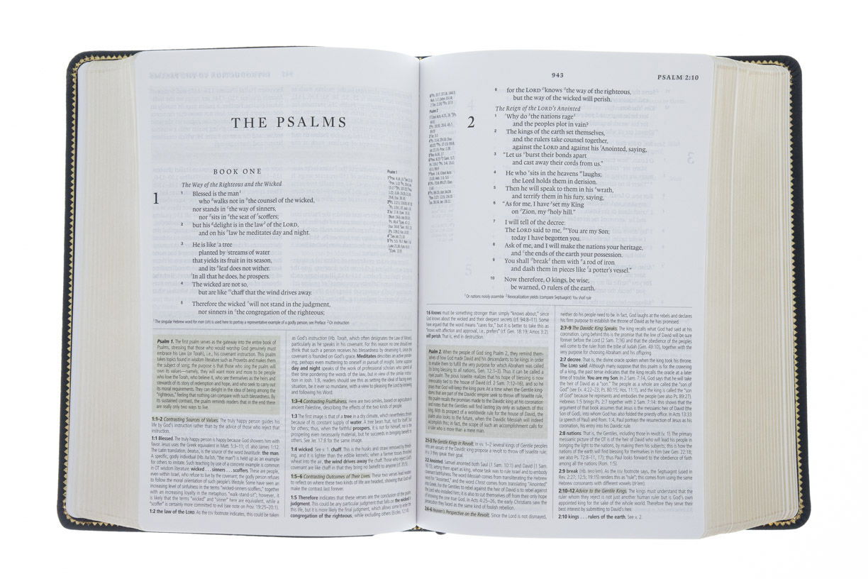 204-0005 Product Image 4