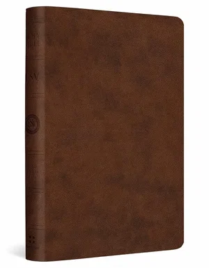 ESV Value Compact Bible-Brown TruTone