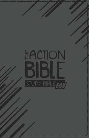 ESV The Action Bible Study Bible: Premium Edition -Grey Virtual Leather