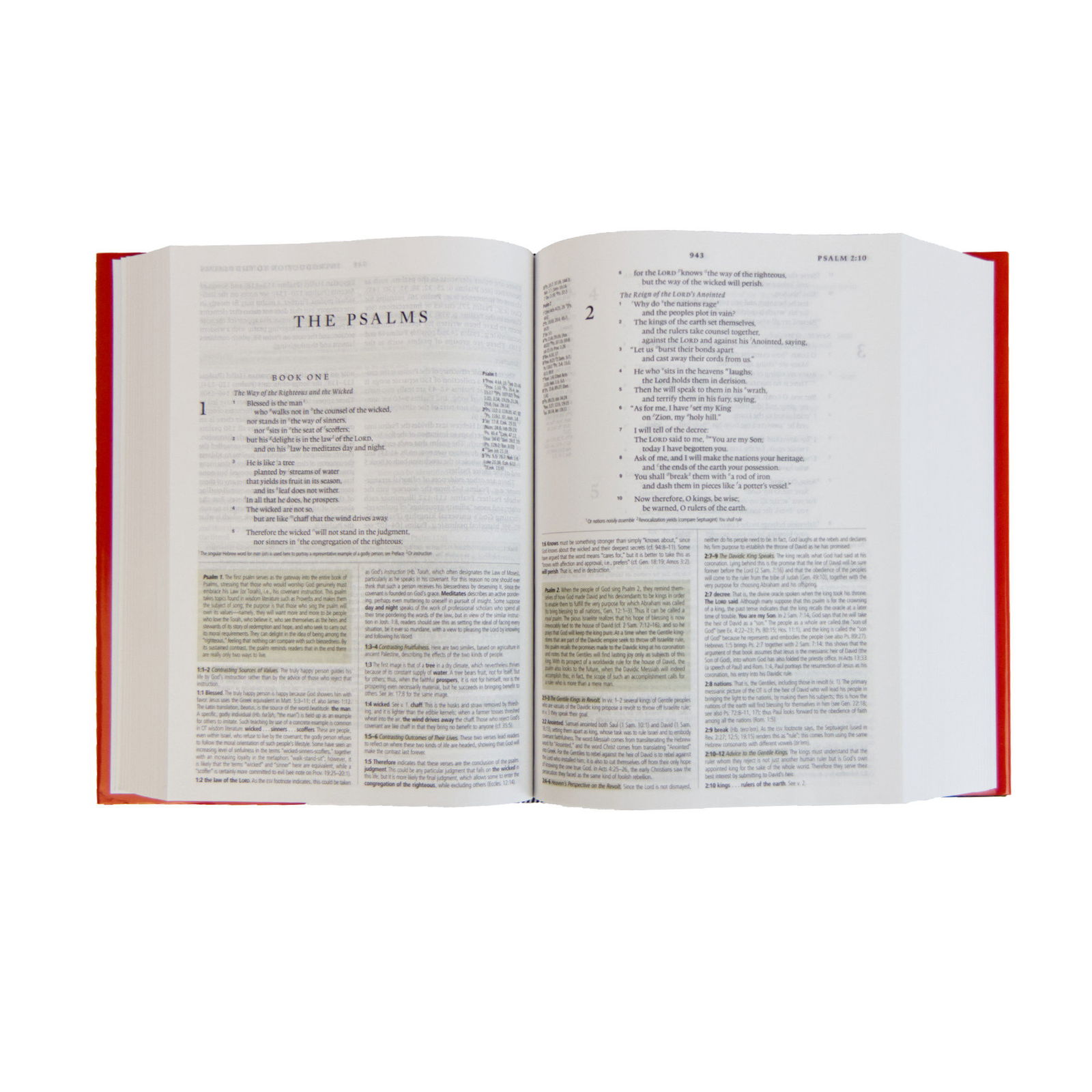 204-0019 Product Image 2