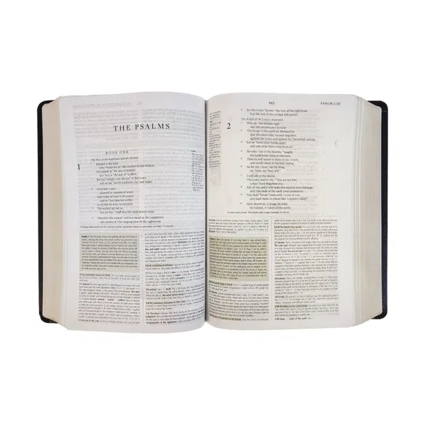 204-0021 Product Image 3