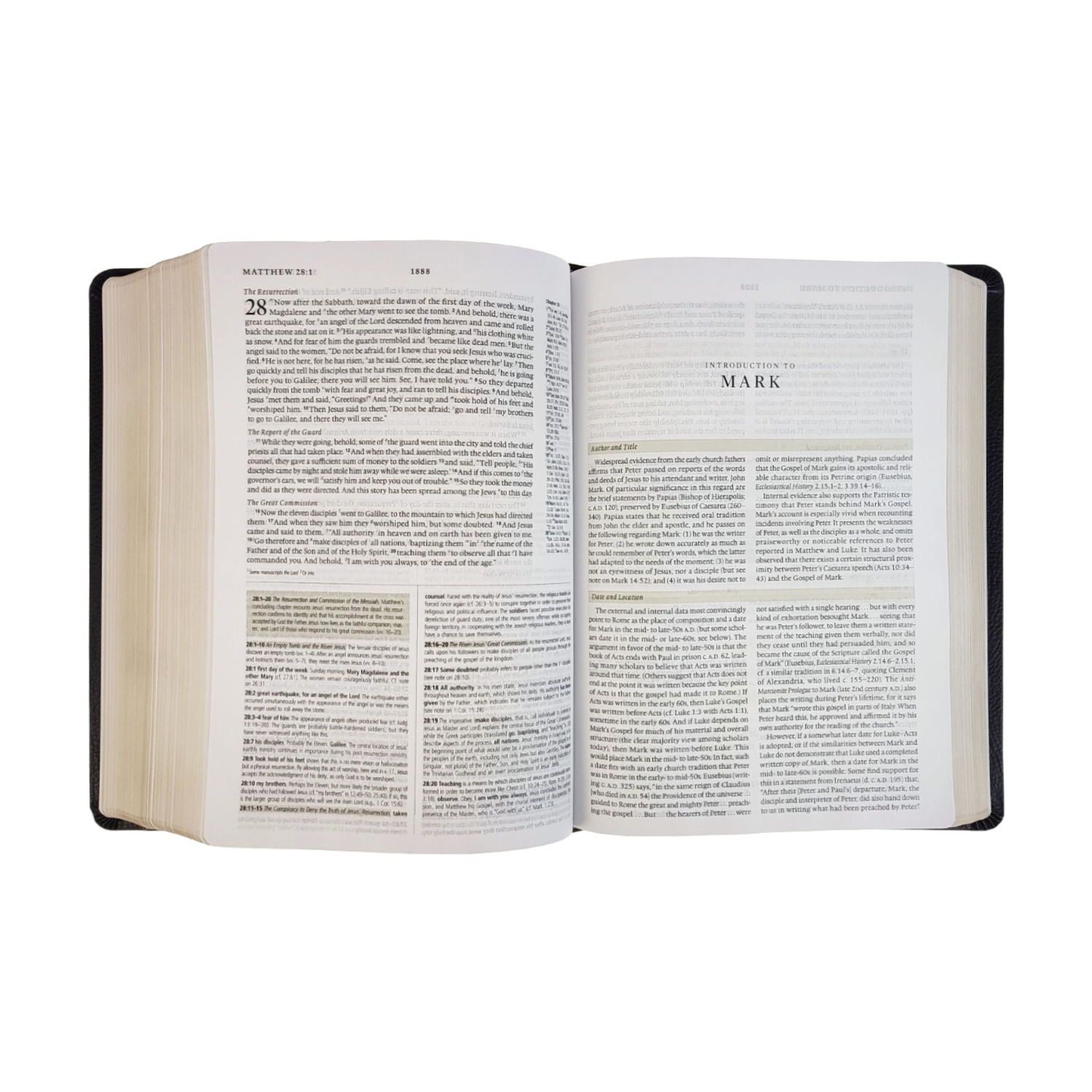 204-0021 Product Image 4