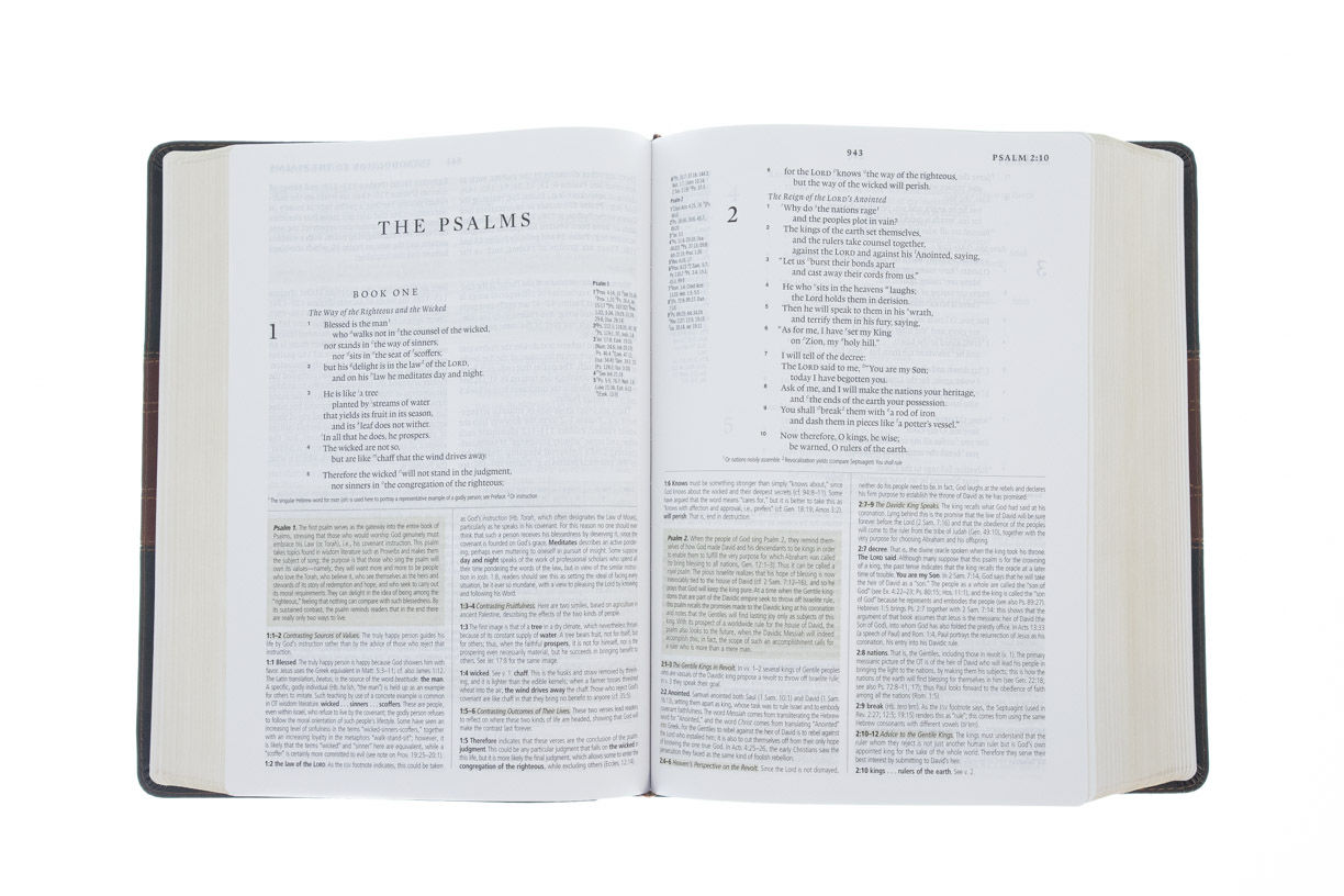 204-0022 Product Image 4