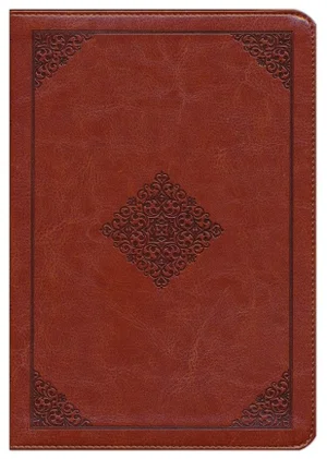 ESV Study Bible/Personal Size-Saddle Ornament Design TruTone