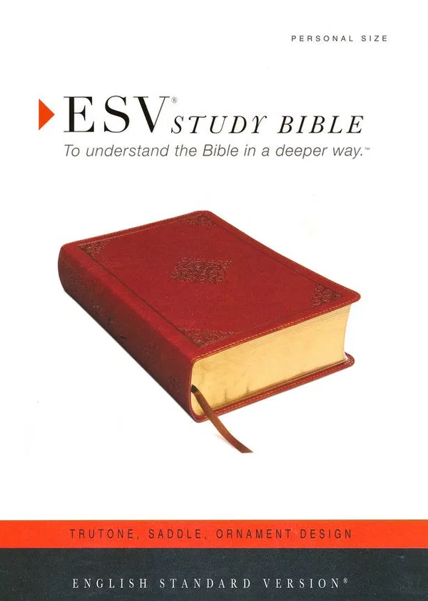 204-0079 Product Image 2