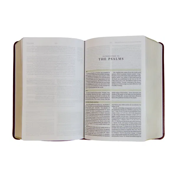 204-0079 Product Image 3