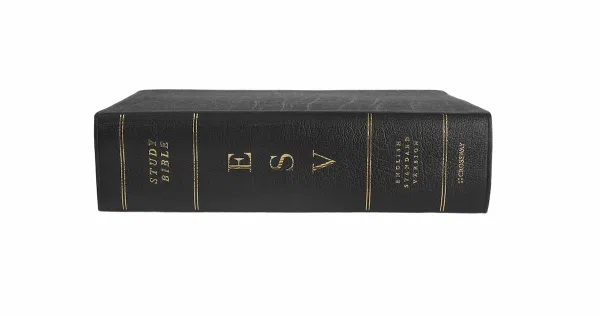 204-0084 Product Image 2