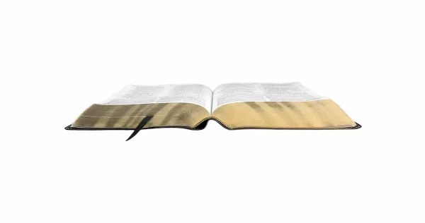204-0084 Product Image 3