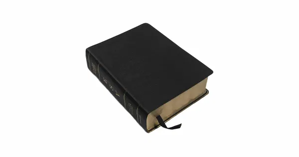 204-0084 Product Image 4