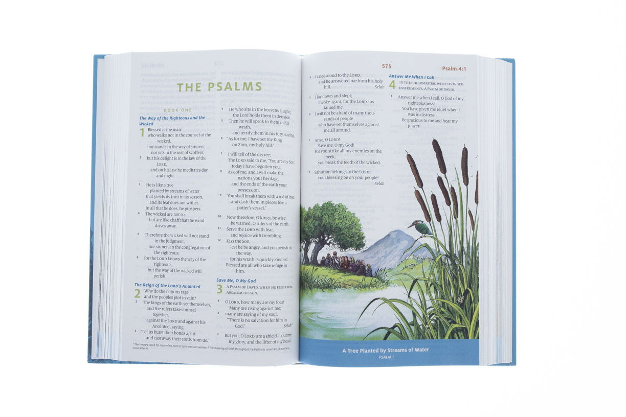 204-0098 Product Image 2