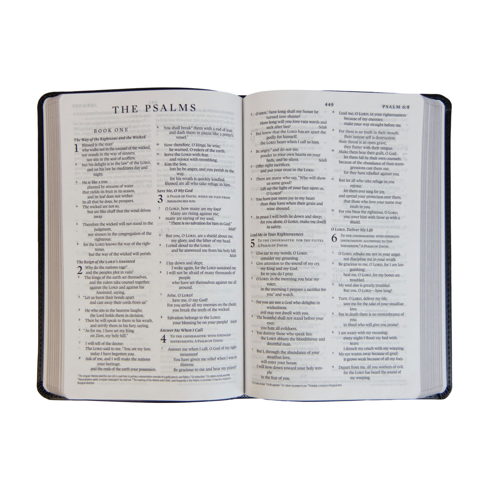 Product 204-0135 - View 2 204-0135 Product Image 2