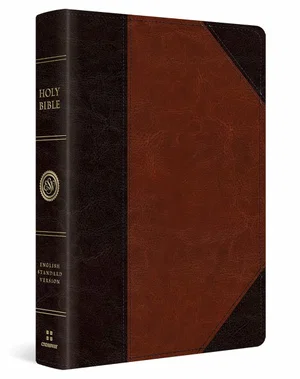 ESV Large Print Wide Margin Bible -Trutone, Brown