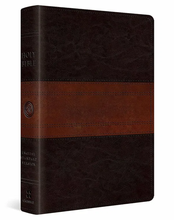 204-0172 Product Image 1