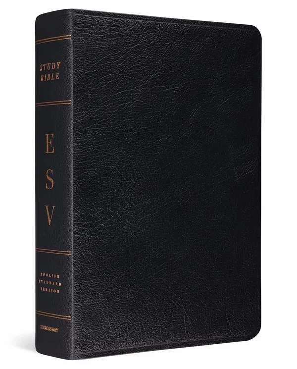 204-0175 Product Image 1