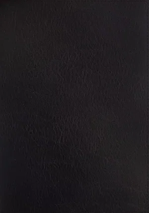 ESV Thompson Chain-Reference Bible -  Black