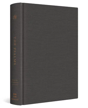 ESV TruTone over Board, Deep Brown Bible