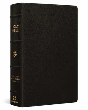 ESV Large Print Personal Size Bible
